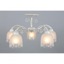 Купить с доставкой по Москве и России Люстра на штанге Omnilux OML-54907-05