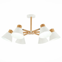 Фото Люстра на штанге Evoluce SLE103702-06