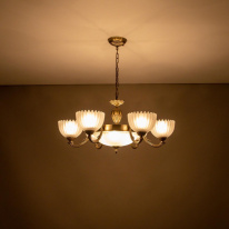 Купить с доставкой по Москве и России Подвесная люстра Citilux CL414193