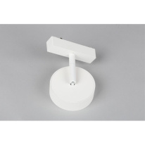 Цена на Светильник на шине APLOYT APL.0119.10.09