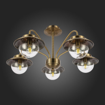 Купить Люстра на штанге Evoluce SLE110102-05