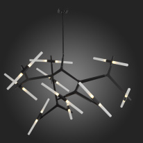 Купить Люстра на штанге ST-Luce SL947.402.20