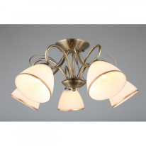 Купить Накладная люстра Omnilux OML-25307-05