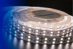 Купить с доставкой по Москве и России Лента DesignLed DSG5120-24-NW-33