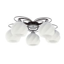 Фото Накладная люстра Citilux CL168155