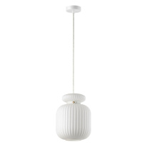 Подвесной светильник Odeon Light 5042/1C Фото Подвесной светильник Odeon Light 5042/1C