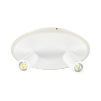 Накладной светильник Escada 20046SMA/02LED WH Купить с доставкой по Москве и России Накладной светильник Escada 20046SMA/02LED WH