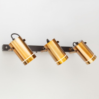 Фото Спот Eurosvet 20063/3 LED античная бронза