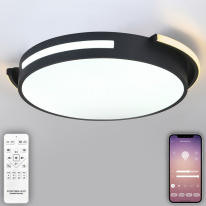 Фото Накладной светильник Natali Kovaltseva INNOVATION STYLE 83112