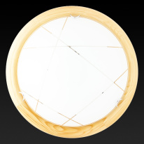 Купить Накладной светильник TOPLIGHT TL9013Y-02PN