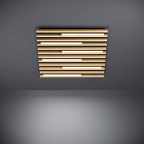 Купить Накладной светильник EGLO 39898