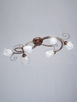 Фото Накладная люстра Vitaluce V3270/6PL