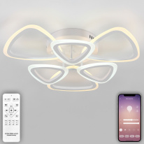 Фото Накладная люстра Natali Kovaltseva LED LAMPS 81127/5C