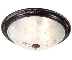 Фото Накладной светильник Lucia Tucci LUGO 142.6 R50 brown