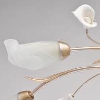 Накладная люстра MW-Light 242016306 в интернет магазине Гет Лайт