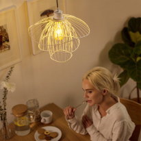 Цена на Подвесной светильник ImperiumLoft 101803-26