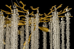 Подвесная люстра Dio D'arte Tavenna H 1.5.100x40.100 A в интернет магазине Гет Лайт