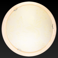 Купить Накладной светильник TOPLIGHT TL9640Y-00PN