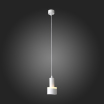 Купить Подвесной светильник ST-Luce ST102.503.12