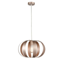 Фото Подвесной светильник Vele Luce VL5324P21