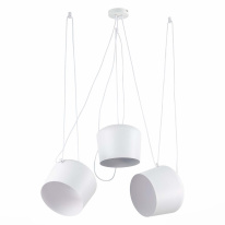 Купить с доставкой по Москве и России Подвесной светильник Evoluce SLE120653-03