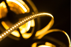 Лента SWG SWG4240-12-24-WW в интернет магазине Гет Лайт