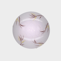 Купить Накладной светильник Citilux CL918009