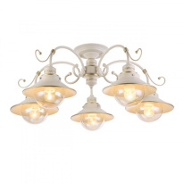 Фото Накладная люстра Omnilux OML-50807-05