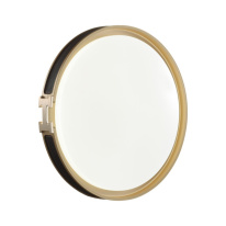 Купить Накладной светильник Sonex 7667/DL