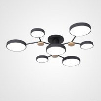 Фото Накладная люстра ImperiumLoft 223768-23