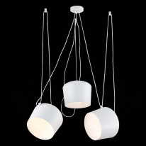 Цена на Подвесной светильник Evoluce SLE120653-03