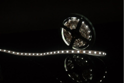 Купить Лента SWG SWG560-12-14.4-W