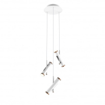 Фото Подвесной светильник Favourite 2325-6P