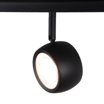Светильник на шине LOFT IT T034-10 Цена на Светильник на шине LOFT IT T034-10