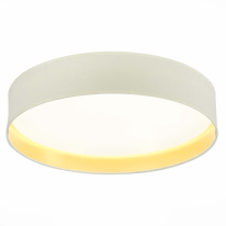 Фото Накладной светильник Evoluce SLE300552-01