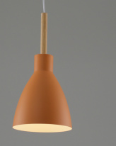 Купить с доставкой по Москве и России Детский светильник Moderli Moderli V10650-1P Toni подвесной