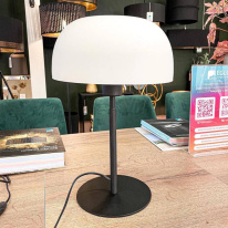 Цена на Настольная лампа EGLO 900142