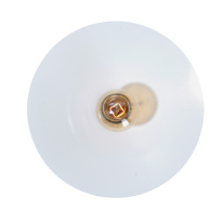 Купить Подвесной светильник Vitaluce V4825-1/1S