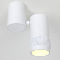 Цена на Спот Favourite 2453-1U