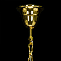 Цена на Подвесная люстра Lightstar 790062