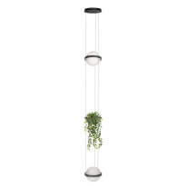 Фото Подвесной светильник LOFT IT 10121/2P Dark grey