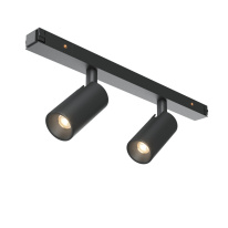 Фото Maytoni Technical TR176-1-2X3WTW-M-B