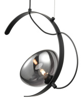 Купить Подвесной светильник Vele Luce VL5462P01