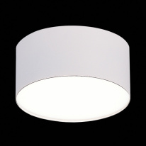 Купить Накладной светильник ST-Luce ST606.542.12