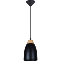 Фото Подвесной светильник TOPLIGHT TL0724H-2B