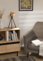 Купить Настольная лампа EGLO 43749