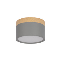 Фото Детский точечный светильник LOFT IT 10162 Grey