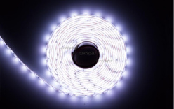 Купить Лента Arlight 016836