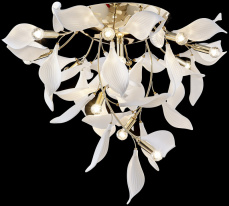 Фото Накладной светильник WERTMARK WE123.12.307