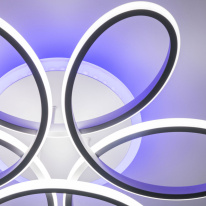 Цена на Накладной светильник Citilux CL233A155E